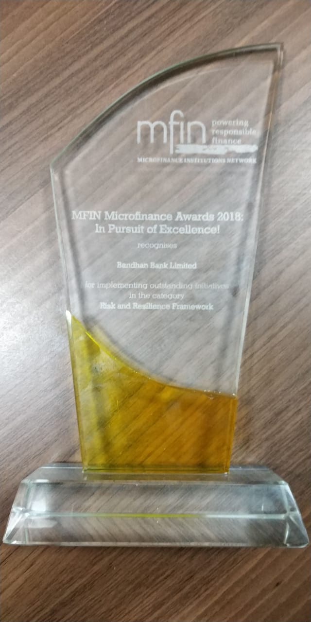 Microfin Award